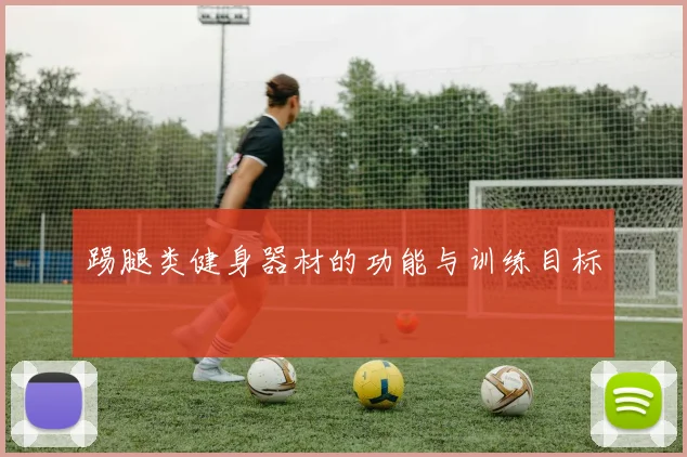 踢腿类健身器材的功能与训练目标