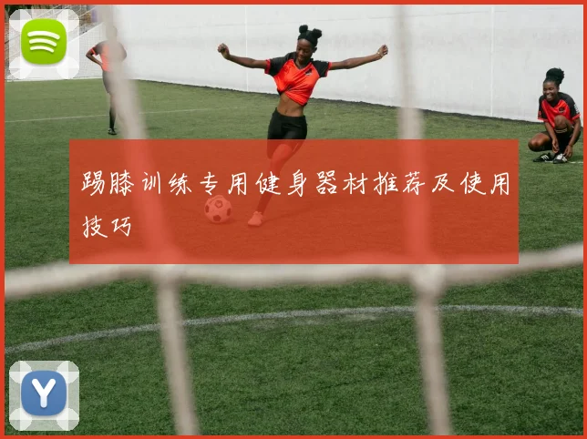 踢膝训练专用健身器材推荐及使用技巧